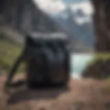 Stylish Patagonia Black Hole bag in a natural setting