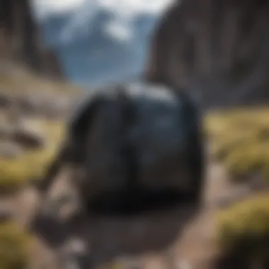 Patagonia Black Hole Bags: Ready for Any Terrain Patagonia Black Hole bags displayed in a rugged terrain