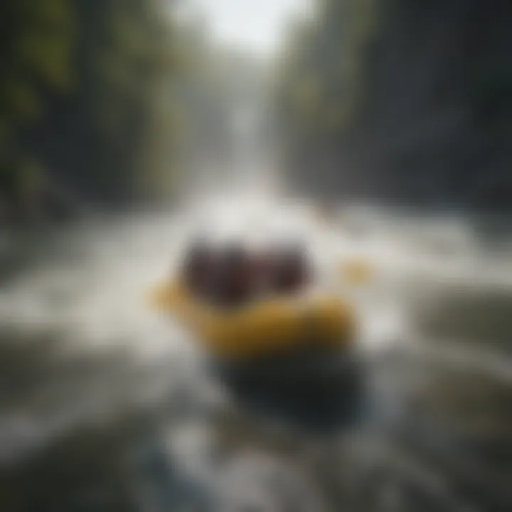 Environmental considerations while rafting in the Niagara region