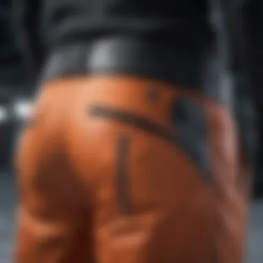 Detailed view of the pockets and features of SixtyEightsix snow pants