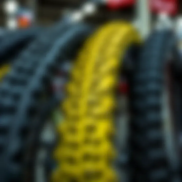 Diverse Types of Studded MTB Tires Comparison of different types of studded tires on display