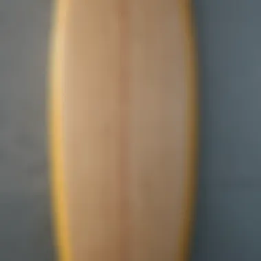 Close-up of a surfboard highlighting the design elements for hanging ten