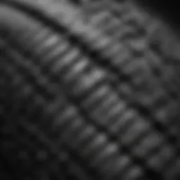 Close-up view of different MTB tire tread patterns showcasing versatility