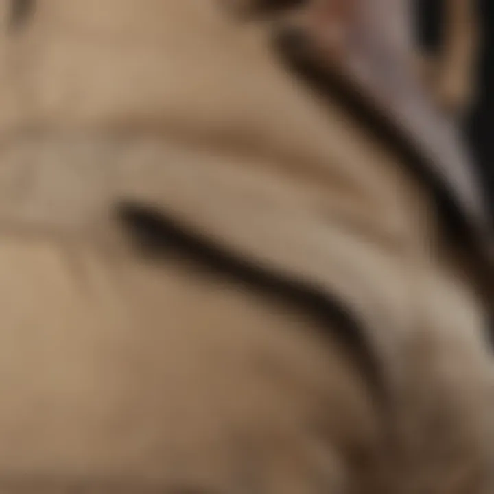 Close-up of the pockets and fabric texture of beige cargo pants