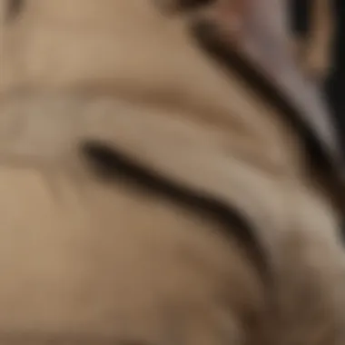 Detailed Look at Pockets and Fabric of Cargo Pants Close-up of the pockets and fabric texture of beige cargo pants