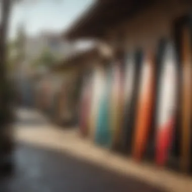 A local surf shop in Todos Santos, displaying surfboards and gear, reflecting the vibrant surf culture of the area.