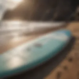 Different types of paddle boards displayed on a beach