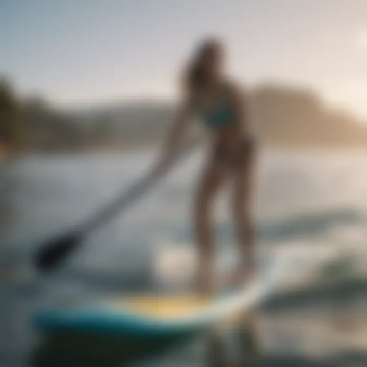 User demographics and paddle board preferences