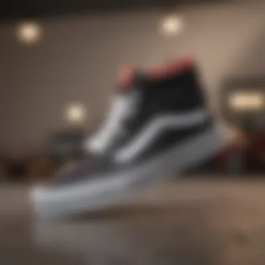 Signature Footwear of Lizzie Armanto Close-up of Vans Lizzie Armanto signature footwear