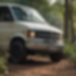 Vans longsleeve shirt showcased against a vibrant outdoor backdrop