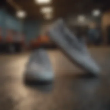 Integration of Vans Slip-On in Extreme Sports Culture Vans Slip-On Sketch Checkerboard integrated into extreme sports culture