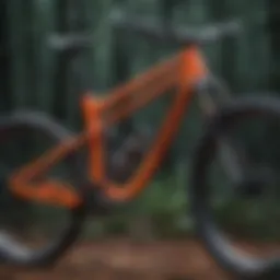 Yoann Barelli's custom mountain bike frame showcasing unique geometry and design elements.