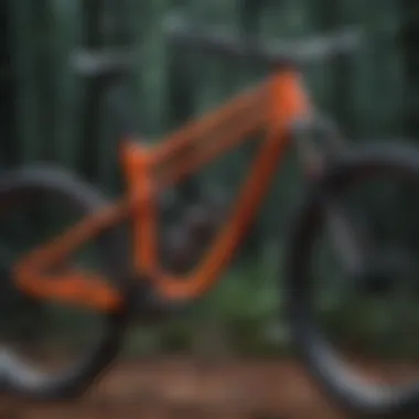 Yoann Barelli's custom mountain bike frame showcasing unique geometry and design elements.